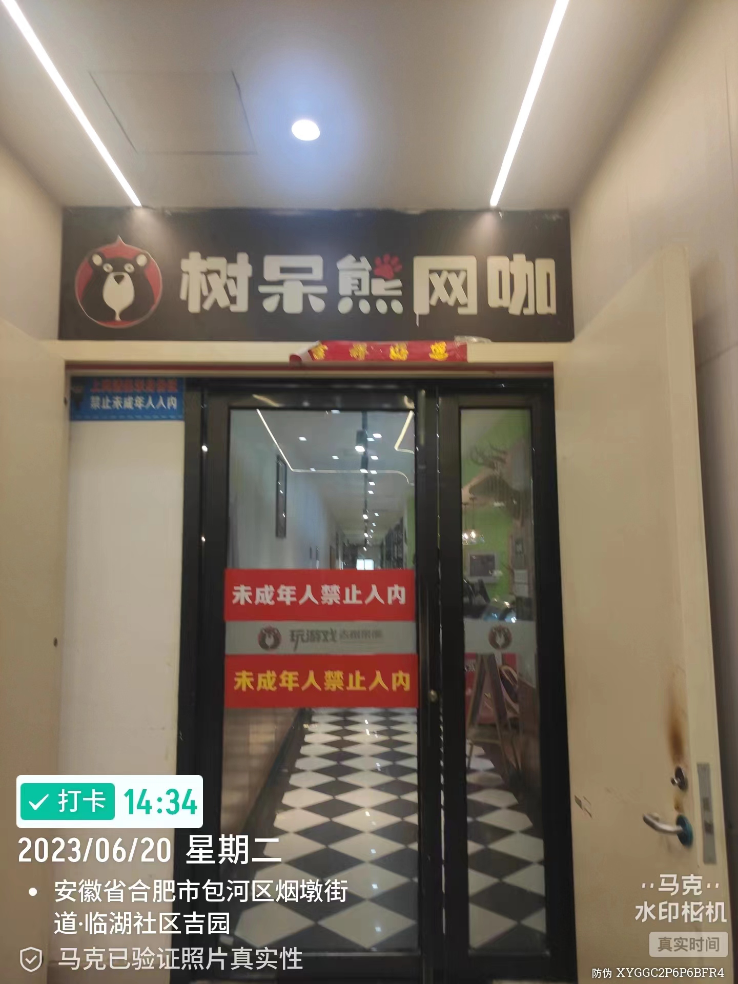 樹呆熊網(wǎng)咖